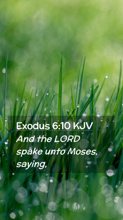 Picture 02 - Exodus 6:10 KJV Mobile Phone Wallpaper - And the LORD spake unto Moses, - Mobile Bible Verse Wallpaper
