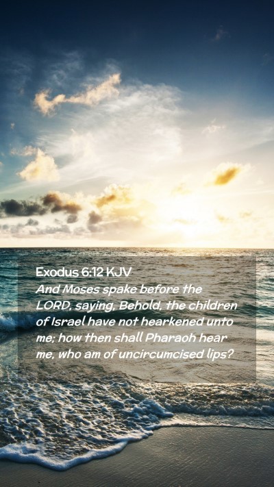 Picture 02 - Exodus 6:12 KJV Mobile Phone Wallpaper - And Moses spake before the LORD, saying, Behold, - Mobile Bible Verse Wallpaper
