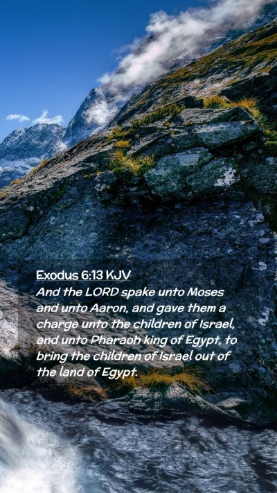 Picture 02 - Exodus 6:13 KJV Mobile Phone Wallpaper - And the LORD spake unto Moses and unto Aaron, and - Mobile Bible Verse Wallpaper
