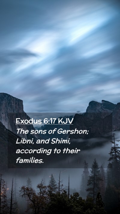 Picture 02 - Exodus 6:17 KJV Mobile Phone Wallpaper - The sons of Gershon; Libni, and Shimi, according - Mobile Bible Verse Wallpaper
