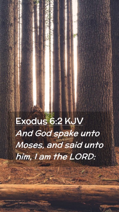 Picture 02 - Exodus 6:2 KJV Mobile Phone Wallpaper - And God spake unto Moses, and said unto him, I am - Mobile Bible Verse Wallpaper