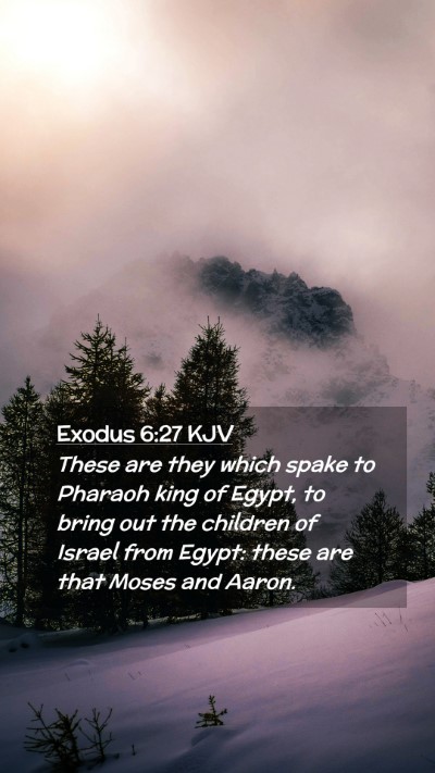Picture 02 - Exodus 6:27 KJV Mobile Phone Wallpaper - These are they which spake to Pharaoh king of - Mobile Bible Verse Wallpaper