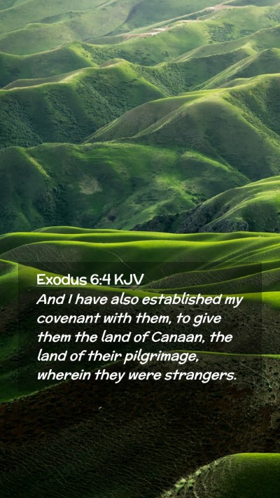 Picture 02 - Exodus 6:4 KJV Mobile Phone Wallpaper - And I have also established my covenant with - Mobile Bible Verse Wallpaper