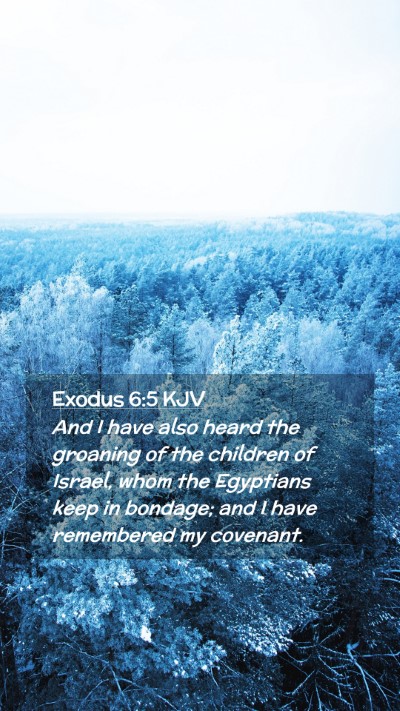 Picture 02 - Exodus 6:5 KJV Mobile Phone Wallpaper - And I have also heard the groaning of the - Mobile Bible Verse Wallpaper
