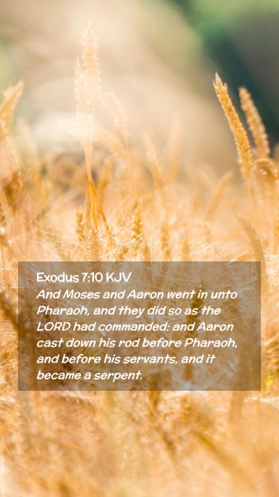 Picture 02 - Exodus 7:10 KJV Mobile Phone Wallpaper - And Moses and Aaron went in unto Pharaoh, and - Mobile Bible Verse Wallpaper