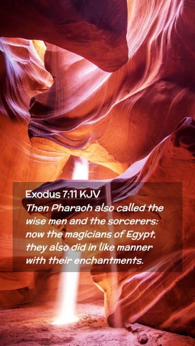 Picture 02 - Exodus 7:11 KJV Mobile Phone Wallpaper - Then Pharaoh also called the wise men and the - Mobile Bible Verse Wallpaper