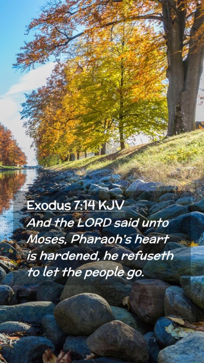 Picture 02 - Exodus 7:14 KJV Mobile Phone Wallpaper - And the LORD said unto Moses, Pharaoh's heart is - Mobile Bible Verse Wallpaper