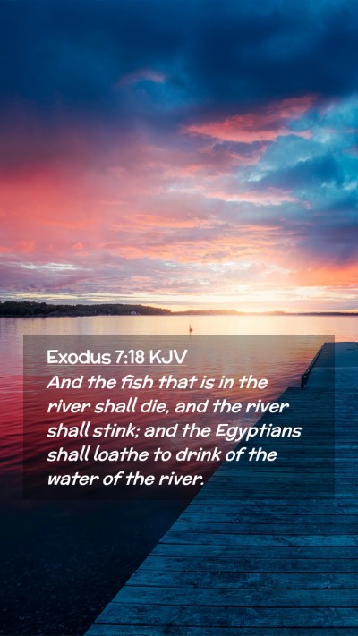 Picture 02 - Exodus 7:18 KJV Mobile Phone Wallpaper - And the fish that is in the river shall die, and - Mobile Bible Verse Wallpaper