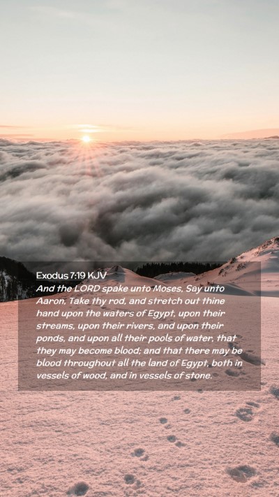 Picture 02 - Exodus 7:19 KJV Mobile Phone Wallpaper - And the LORD spake unto Moses, Say unto Aaron, - Mobile Bible Verse Wallpaper
