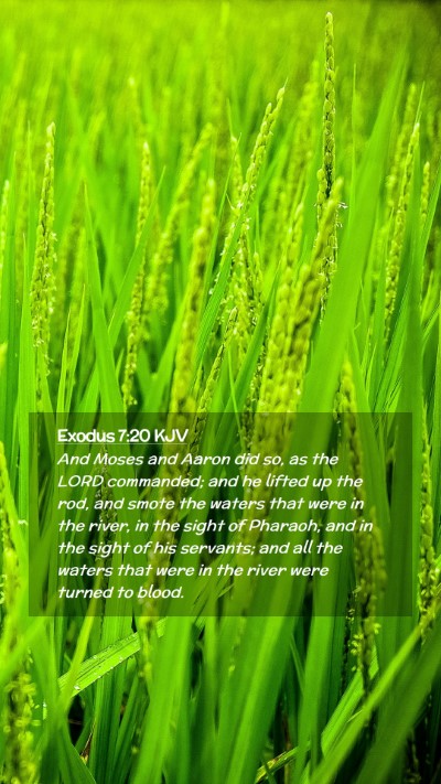Picture 02 - Exodus 7:20 KJV Mobile Phone Wallpaper - And Moses and Aaron did so, as the LORD - Mobile Bible Verse Wallpaper