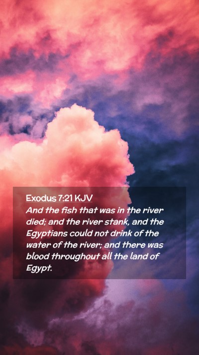 Picture 02 - Exodus 7:21 KJV Mobile Phone Wallpaper - And the fish that was in the river died; and the - Mobile Bible Verse Wallpaper
