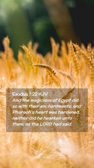 Picture 02 - Exodus 7:22 KJV Mobile Phone Wallpaper - And the magicians of Egypt did so with their - Mobile Bible Verse Wallpaper