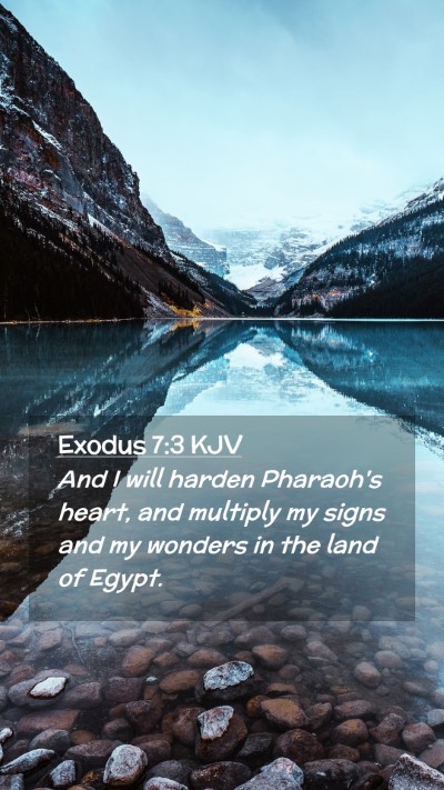 Picture 02 - Exodus 7:3 KJV Mobile Phone Wallpaper - And I will harden Pharaoh's heart, and multiply - Mobile Bible Verse Wallpaper