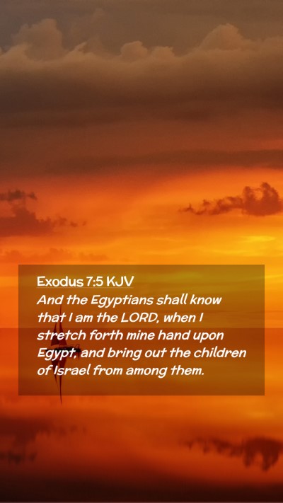 Picture 02 - Exodus 7:5 KJV Mobile Phone Wallpaper - And the Egyptians shall know that I am the LORD, - Mobile Bible Verse Wallpaper