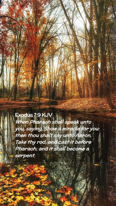 Picture 02 - Exodus 7:9 KJV Mobile Phone Wallpaper - When Pharaoh shall speak unto you, saying, Show a - Mobile Bible Verse Wallpaper