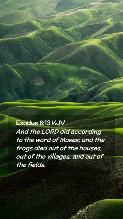 Picture 02 - Exodus 8:13 KJV Mobile Phone Wallpaper - And the LORD did according to the word of Moses; - Mobile Bible Verse Wallpaper
