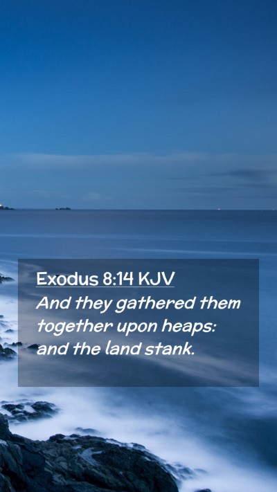 Picture 02 - Exodus 8:14 KJV Mobile Phone Wallpaper - And they gathered them together upon heaps: and - Mobile Bible Verse Wallpaper