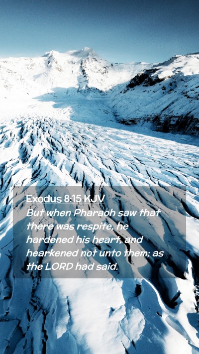 Picture 02 - Exodus 8:15 KJV Mobile Phone Wallpaper - But when Pharaoh saw that there was respite, he - Mobile Bible Verse Wallpaper