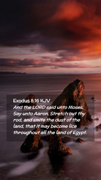 Picture 02 - Exodus 8:16 KJV Mobile Phone Wallpaper - And the LORD said unto Moses, Say unto Aaron, - Mobile Bible Verse Wallpaper