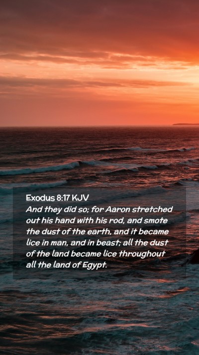 Picture 02 - Exodus 8:17 KJV Mobile Phone Wallpaper - And they did so; for Aaron stretched out his hand - Mobile Bible Verse Wallpaper
