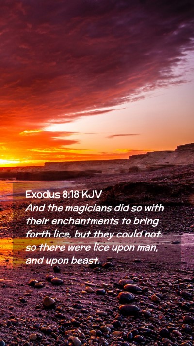 Picture 02 - Exodus 8:18 KJV Mobile Phone Wallpaper - And the magicians did so with their enchantments - Mobile Bible Verse Wallpaper