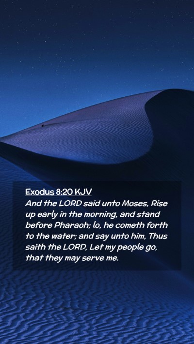 Picture 02 - Exodus 8:20 KJV Mobile Phone Wallpaper - And the LORD said unto Moses, Rise up early in - Mobile Bible Verse Wallpaper