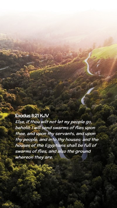 Picture 02 - Exodus 8:21 KJV Mobile Phone Wallpaper - Else, if thou wilt not let my people go, behold, - Mobile Bible Verse Wallpaper