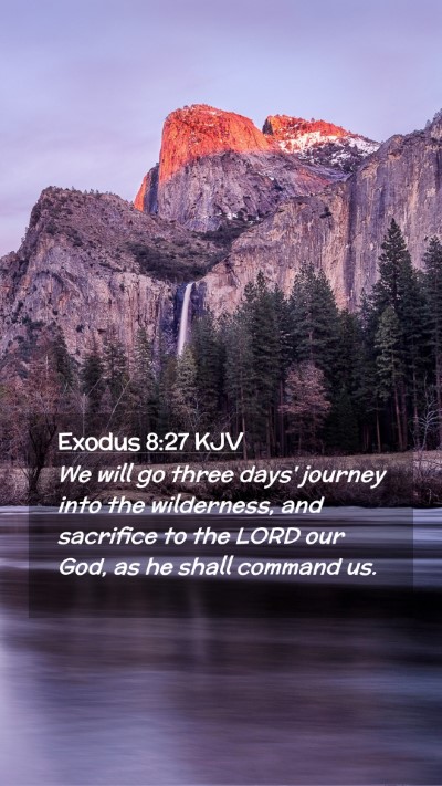 Picture 02 - Exodus 8:27 KJV Mobile Phone Wallpaper - We will go three days' journey into the - Mobile Bible Verse Wallpaper
