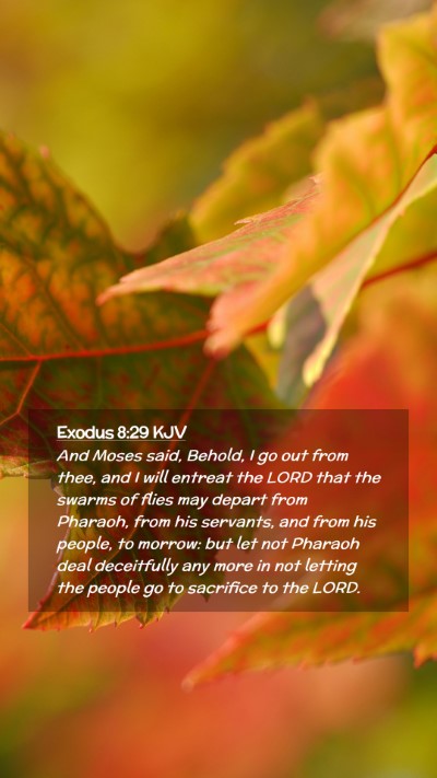 Picture 02 - Exodus 8:29 KJV Mobile Phone Wallpaper - And Moses said, Behold, I go out from thee, and I - Mobile Bible Verse Wallpaper