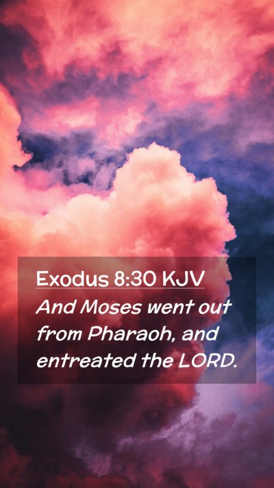 Picture 02 - Exodus 8:30 KJV Mobile Phone Wallpaper - And Moses went out from Pharaoh, and entreated - Mobile Bible Verse Wallpaper