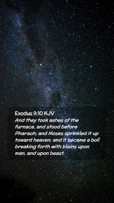 Picture 02 - Exodus 9:10 KJV Mobile Phone Wallpaper - And they took ashes of the furnace, and stood - Mobile Bible Verse Wallpaper