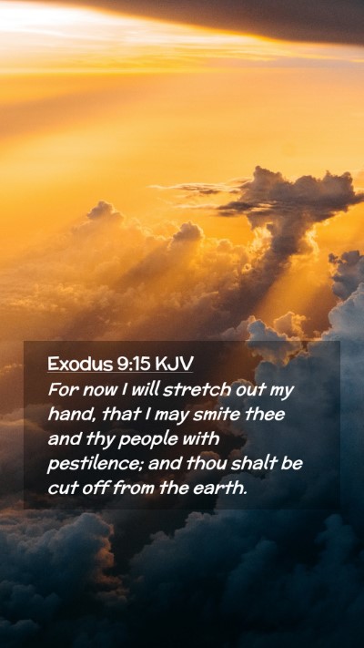 Picture 02 - Exodus 9:15 KJV Mobile Phone Wallpaper - For now I will stretch out my hand, that I may - Mobile Bible Verse Wallpaper