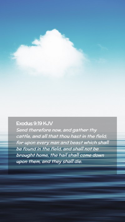 Picture 02 - Exodus 9:19 KJV Mobile Phone Wallpaper - Send therefore now, and gather thy cattle, and - Mobile Bible Verse Wallpaper