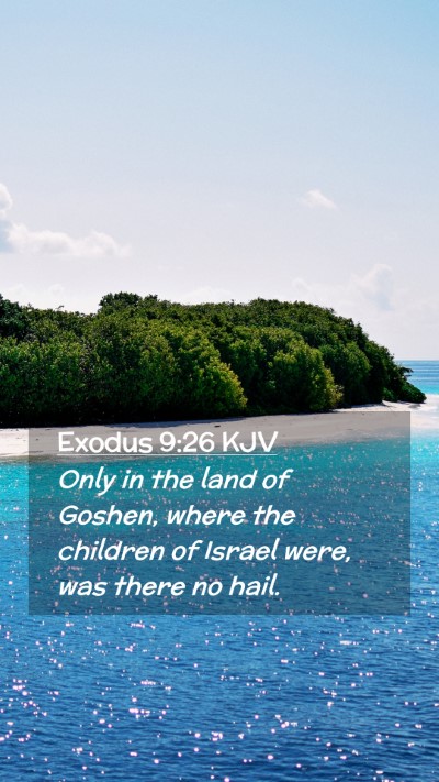 Picture 02 - Exodus 9:26 KJV Mobile Phone Wallpaper - Only in the land of Goshen, where the children of - Mobile Bible Verse Wallpaper