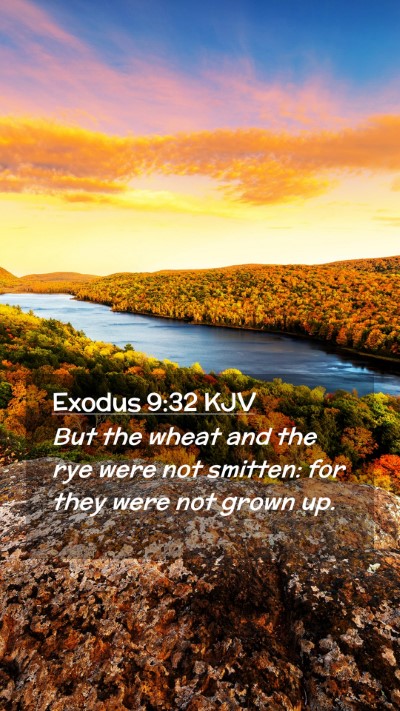 Picture 02 - Exodus 9:32 KJV Mobile Phone Wallpaper - But the wheat and the rye were not smitten: for - Mobile Bible Verse Wallpaper