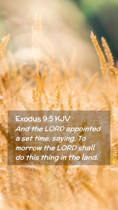 Picture 02 - Exodus 9:5 KJV Mobile Phone Wallpaper - And the LORD appointed a set time, saying, To - Mobile Bible Verse Wallpaper