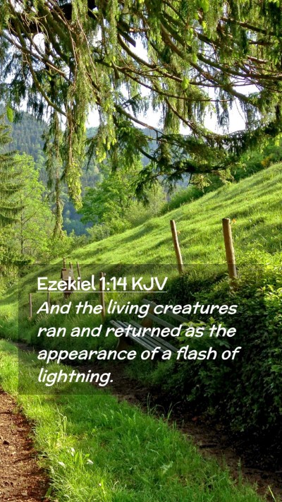 Picture 02 - Ezekiel 1:14 KJV Mobile Phone Wallpaper - And the living creatures ran and returned as the - Mobile Bible Verse Wallpaper