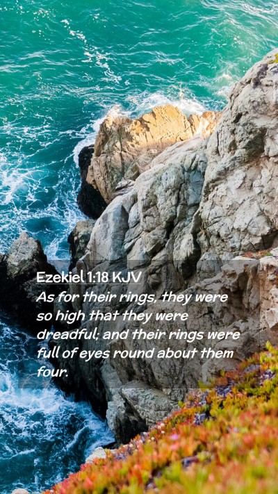 Picture 02 - Ezekiel 1:18 KJV Mobile Phone Wallpaper - As for their rings, they were so high that they - Mobile Bible Verse Wallpaper