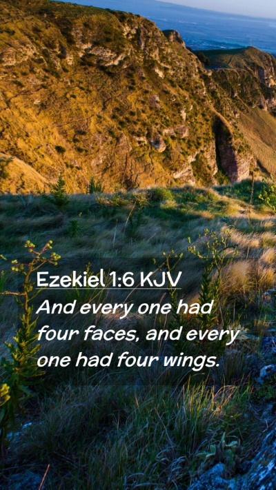 Picture 02 - Ezekiel 1:6 KJV Mobile Phone Wallpaper - And every one had four faces, and every one had - Mobile Bible Verse Wallpaper