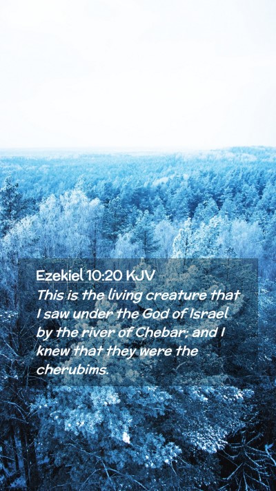 Picture 02 - Ezekiel 10:20 KJV Mobile Phone Wallpaper - This is the living creature that I saw under the - Mobile Bible Verse Wallpaper