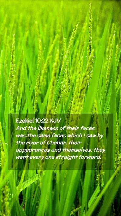Picture 02 - Ezekiel 10:22 KJV Mobile Phone Wallpaper - And the likeness of their faces was the same - Mobile Bible Verse Wallpaper