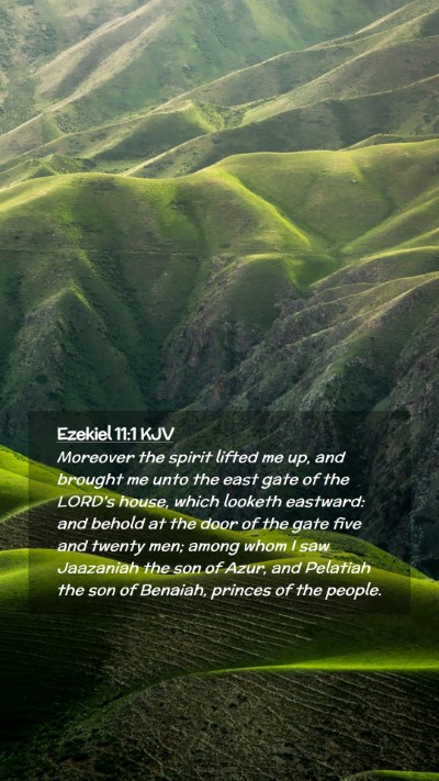 Picture 02 - Ezekiel 11:1 KJV Mobile Phone Wallpaper - Moreover the spirit lifted me up, and brought me - Mobile Bible Verse Wallpaper