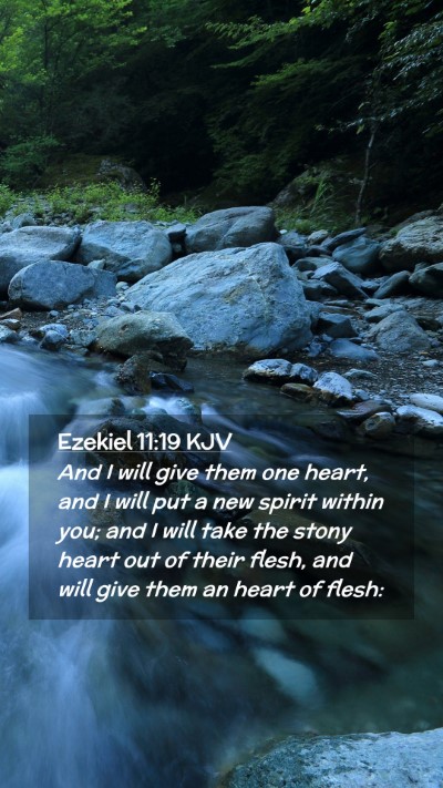 Picture 02 - Ezekiel 11:19 KJV Mobile Phone Wallpaper - And I will give them one heart, and I will put a - Mobile Bible Verse Wallpaper