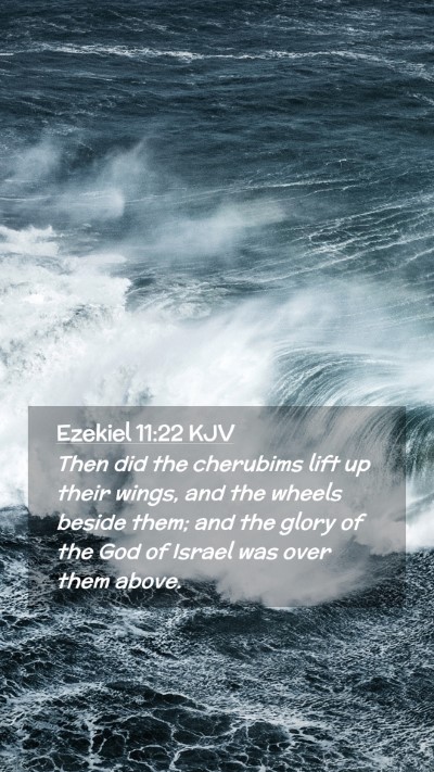Picture 02 - Ezekiel 11:22 KJV Mobile Phone Wallpaper - Then did the cherubims lift up their wings, and - Mobile Bible Verse Wallpaper