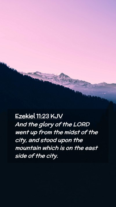 Picture 02 - Ezekiel 11:23 KJV Mobile Phone Wallpaper - And the glory of the LORD went up from the midst - Mobile Bible Verse Wallpaper
