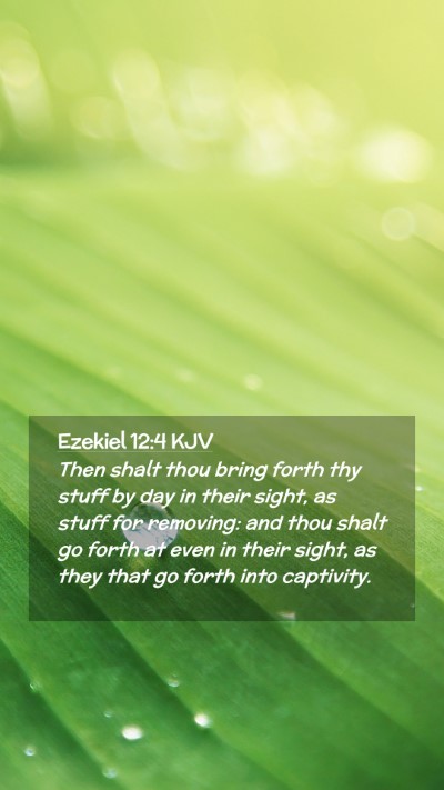 Picture 02 - Ezekiel 12:4 KJV Mobile Phone Wallpaper - Then shalt thou bring forth thy stuff by day in - Mobile Bible Verse Wallpaper