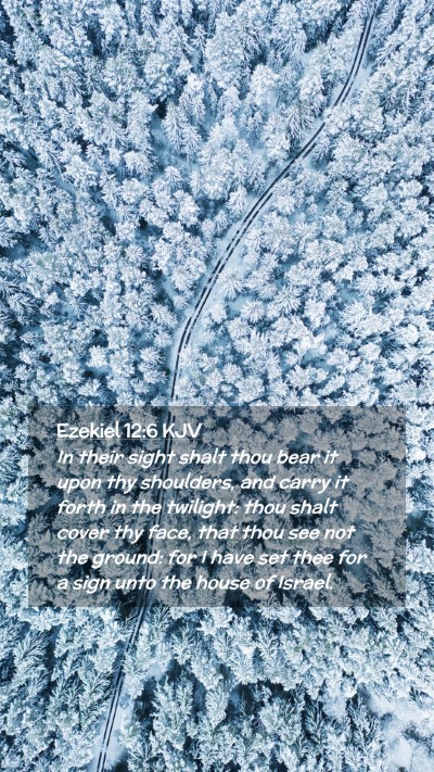 Picture 02 - Ezekiel 12:6 KJV Mobile Phone Wallpaper - In their sight shalt thou bear it upon thy - Mobile Bible Verse Wallpaper