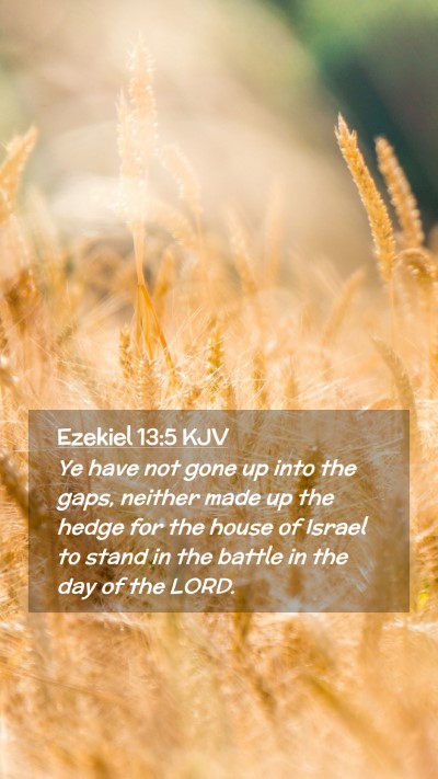 Picture 02 - Ezekiel 13:5 KJV Mobile Phone Wallpaper - Ye have not gone up into the gaps, neither made - Mobile Bible Verse Wallpaper