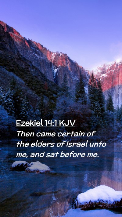 Picture 02 - Ezekiel 14:1 KJV Mobile Phone Wallpaper - Then came certain of the elders of Israel unto - Mobile Bible Verse Wallpaper