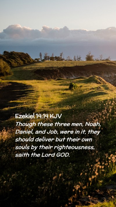 Picture 02 - Ezekiel 14:14 KJV Mobile Phone Wallpaper - Though these three men, Noah, Daniel, and Job, - Mobile Bible Verse Wallpaper